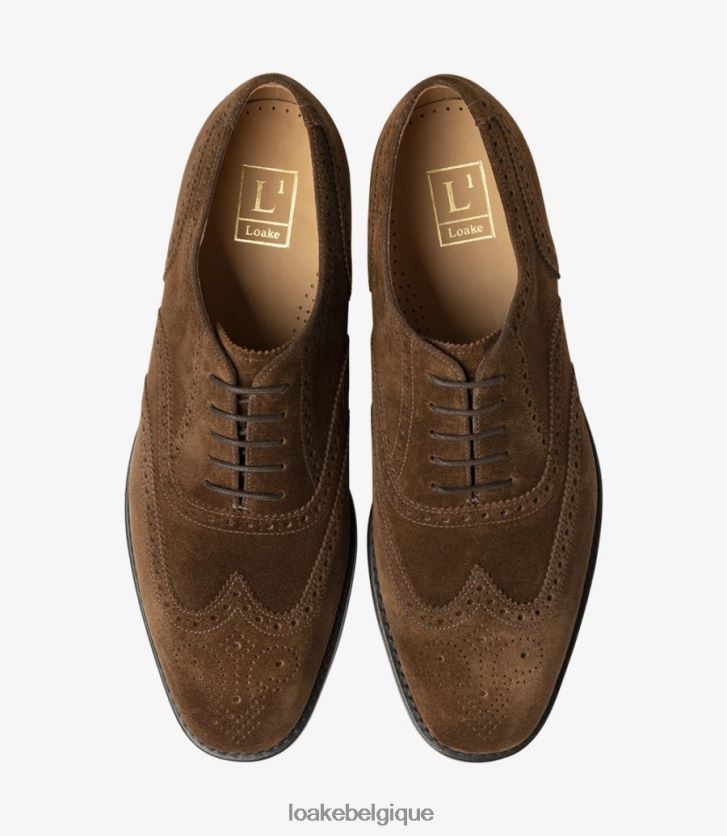 302daim marron V66V2024 Loake brogues