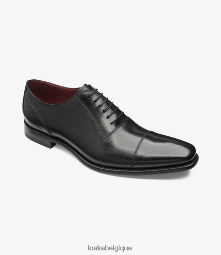 mélèzenoir V66V20189 Loake embouts